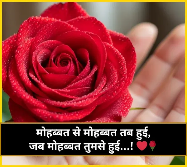 Love Shayari